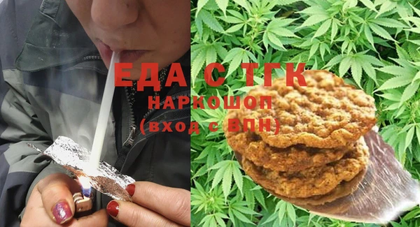 гидра Ессентукская