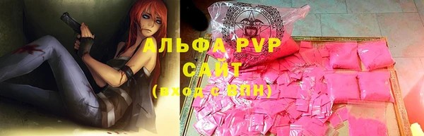 гидра Ессентукская