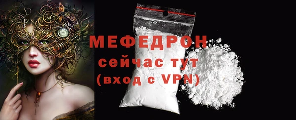 гидра Ессентукская
