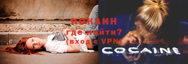 гидра Ессентукская