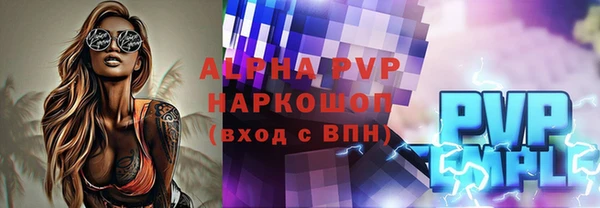 гидра Ессентукская