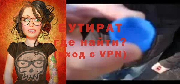 гидра Ессентукская