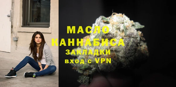 гидра Ессентукская