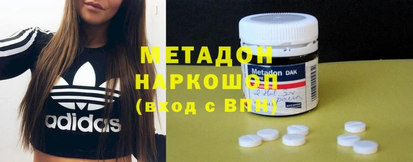 гидра Ессентукская