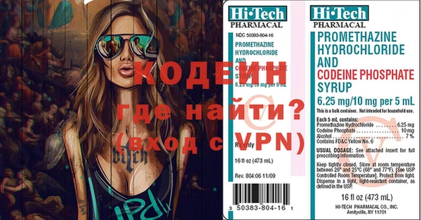 гидра Ессентукская