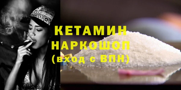 прущие грибы Санкт-Петербург