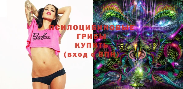 гидра Ессентукская
