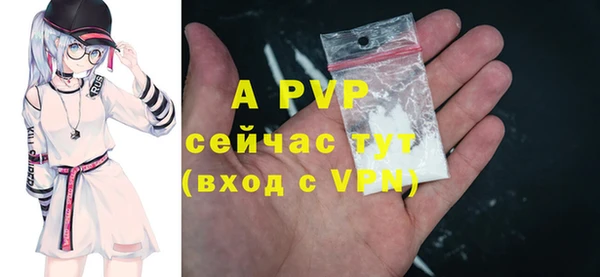 прущие грибы Санкт-Петербург
