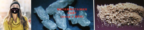 прущие грибы Санкт-Петербург