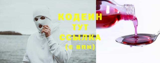 гидра Ессентукская