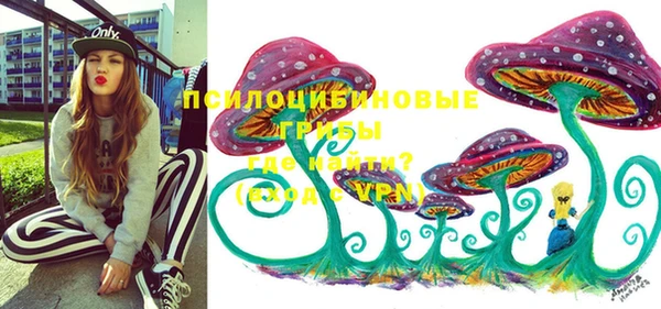 гидра Ессентукская