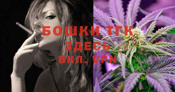 прущие грибы Санкт-Петербург