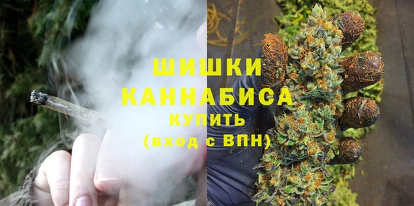 гидра Ессентукская