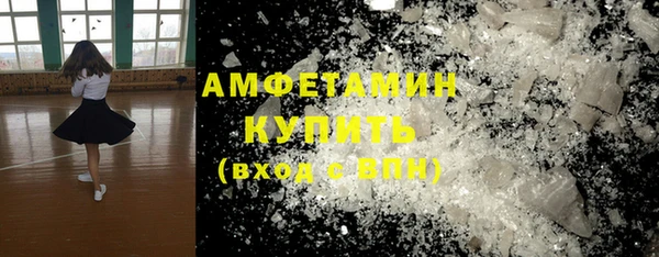 прущие грибы Санкт-Петербург