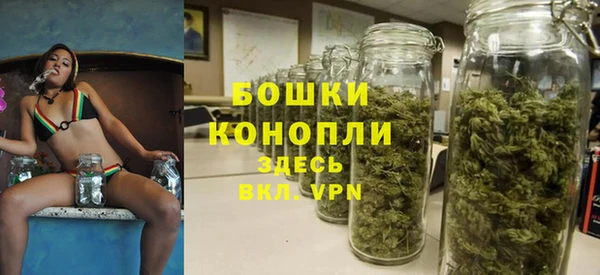 гидра Ессентукская