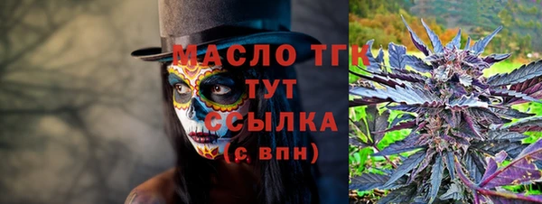 гидра Ессентукская