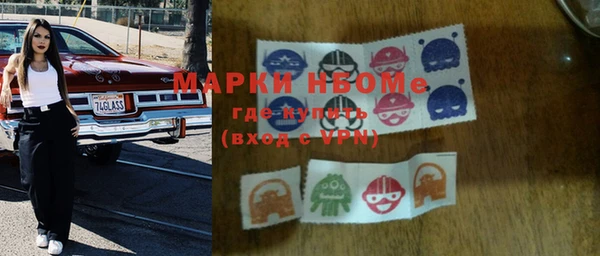 гидра Ессентукская