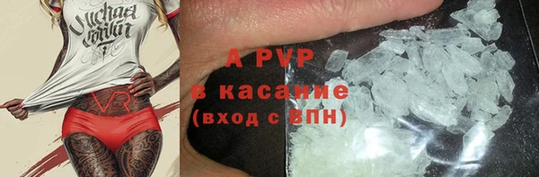 прущие грибы Санкт-Петербург