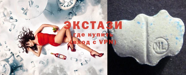гидра Ессентукская