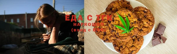гидра Ессентукская