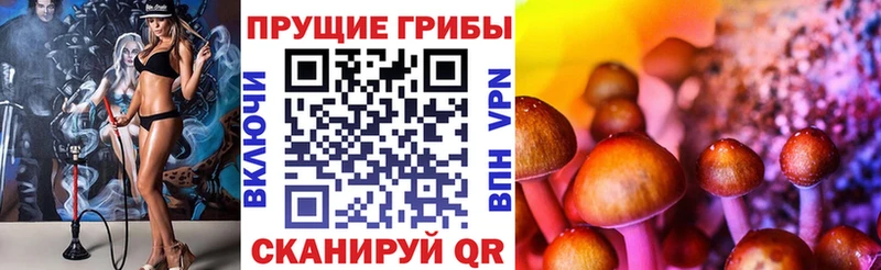 Псилоцибиновые грибы мицелий  Новосибирск 